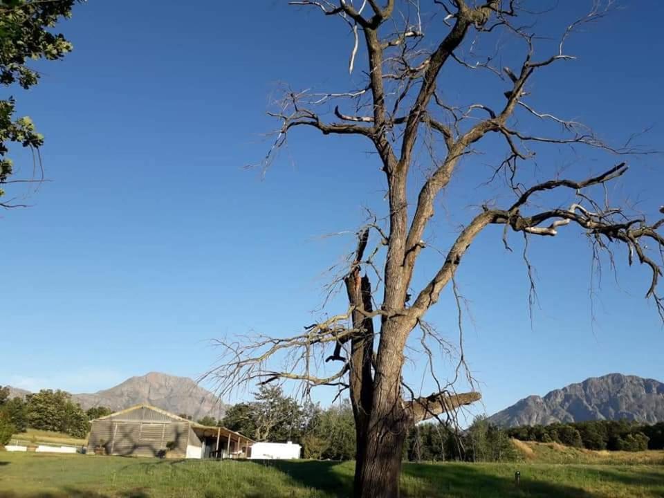Klipfontein Rustic Farm & Camping Тульбах Экстерьер фото