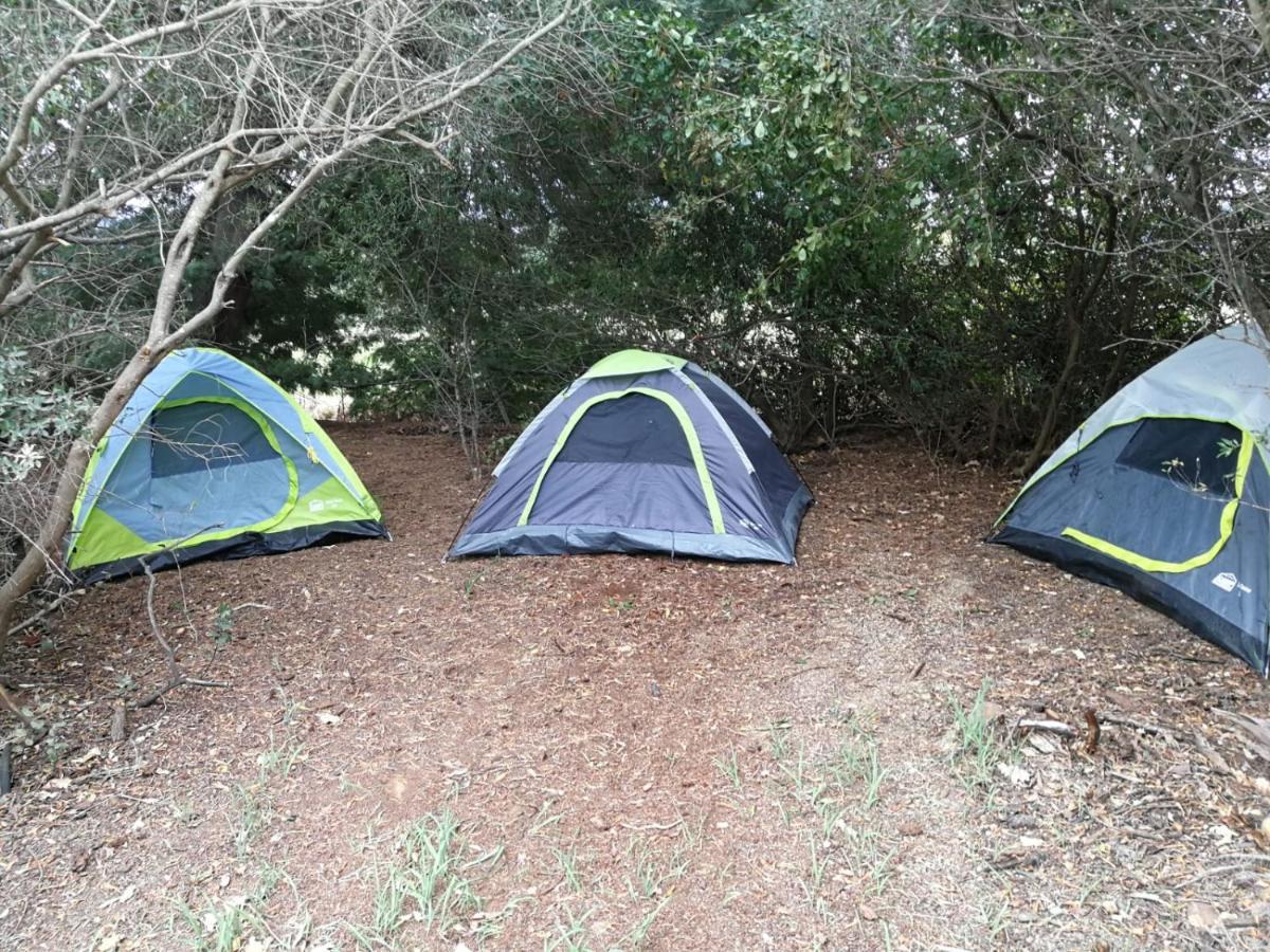 Klipfontein Rustic Farm & Camping Тульбах Экстерьер фото