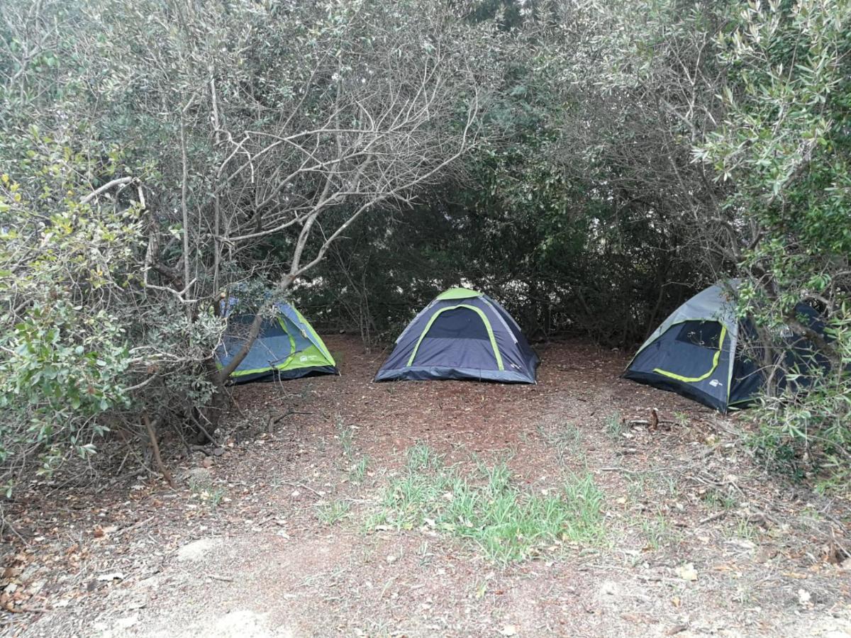 Klipfontein Rustic Farm & Camping Тульбах Экстерьер фото