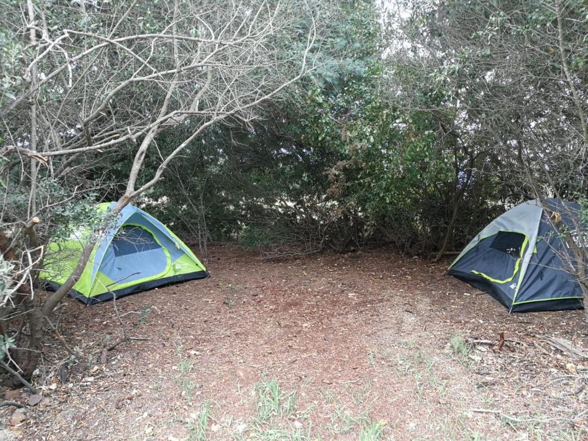 Klipfontein Rustic Farm & Camping Тульбах Экстерьер фото