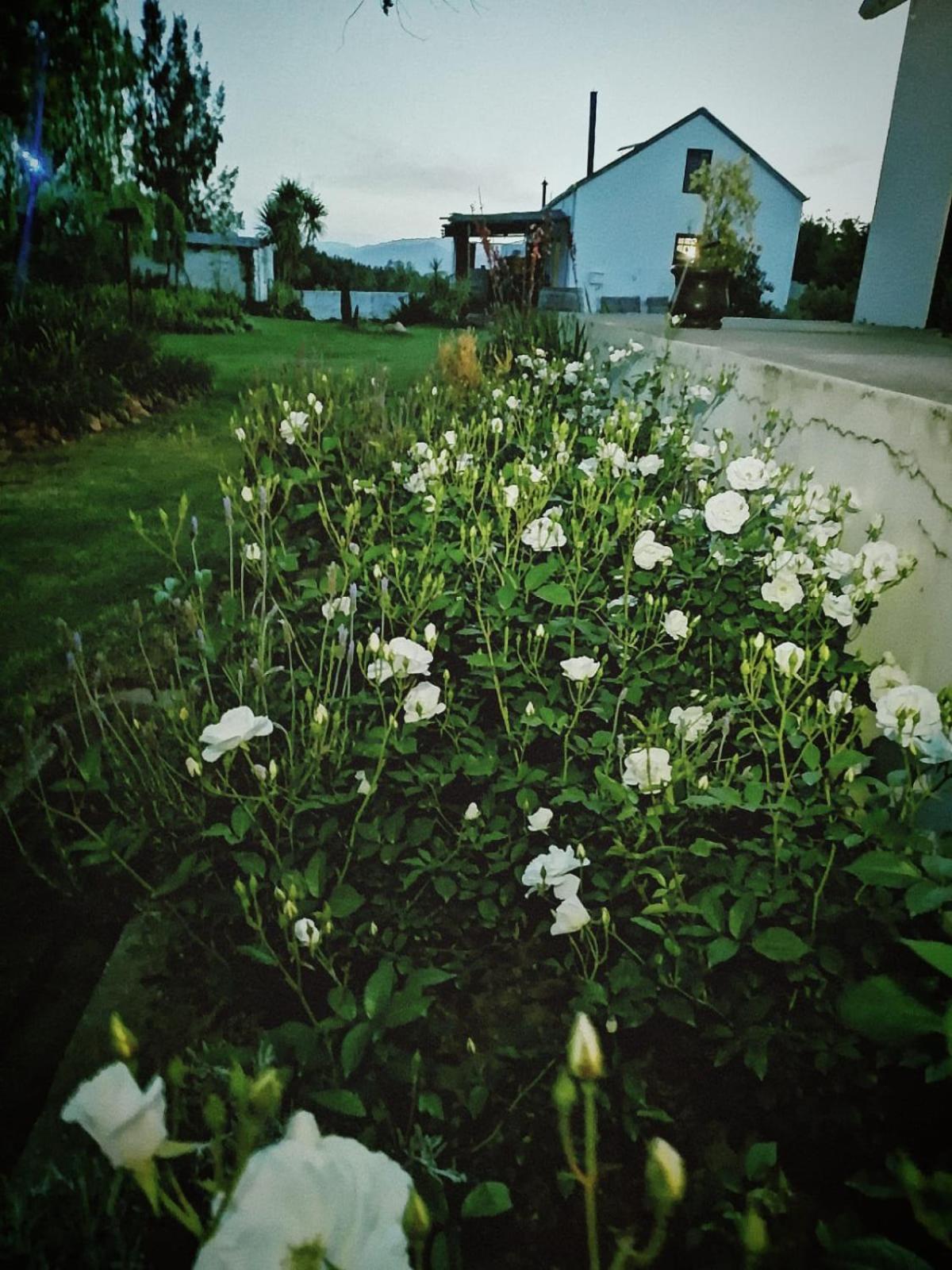 Klipfontein Rustic Farm & Camping Тульбах Экстерьер фото